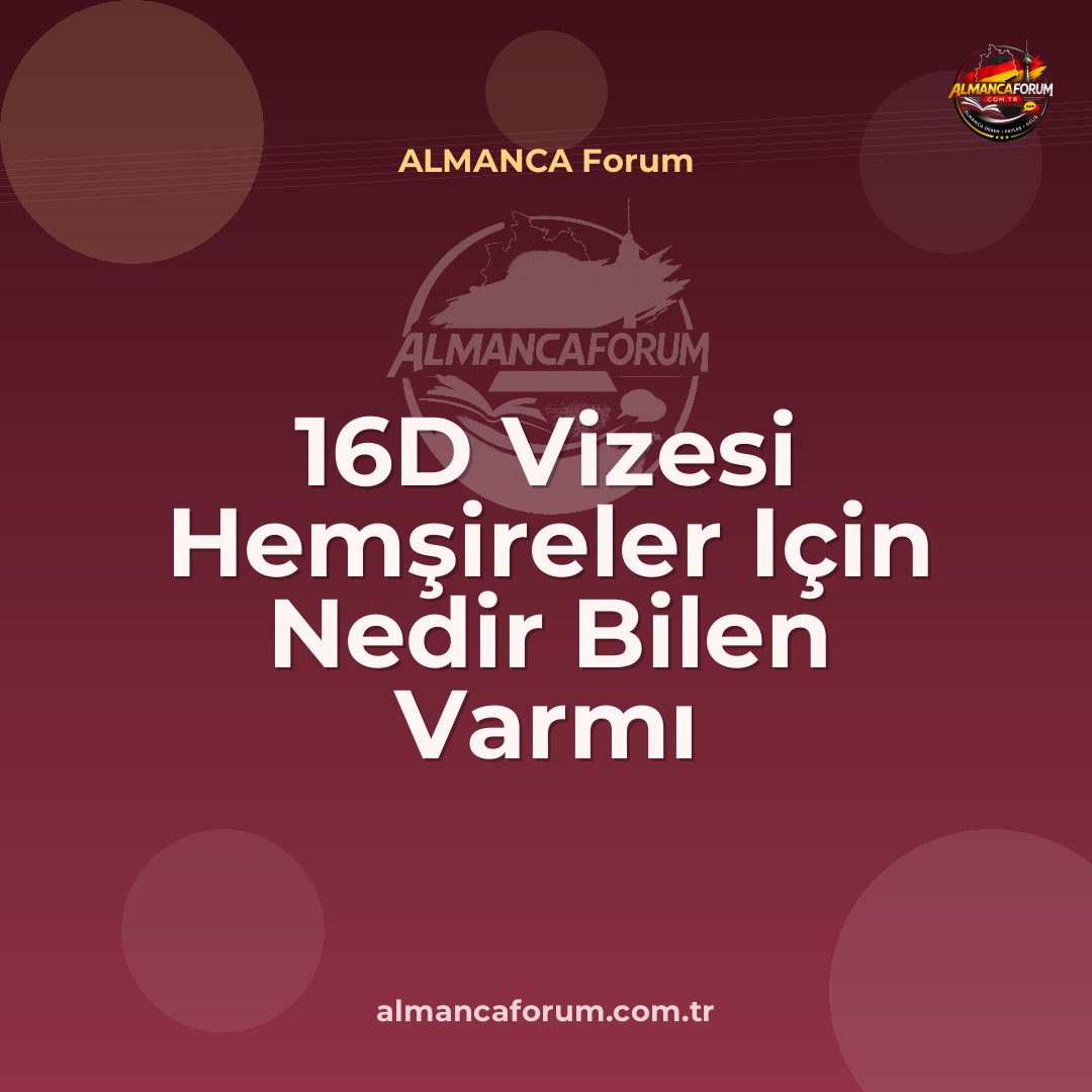 16d-vizesi-hemsireler-icin-nedir-bilen-varmi.jpg