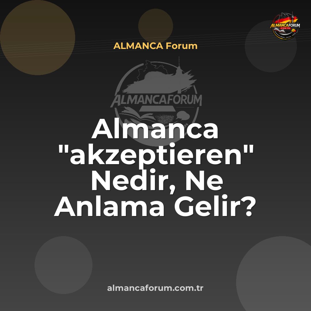almanca-akzeptieren-nedir-ne-anlama-gelir-nasil-kullanilir.jpg