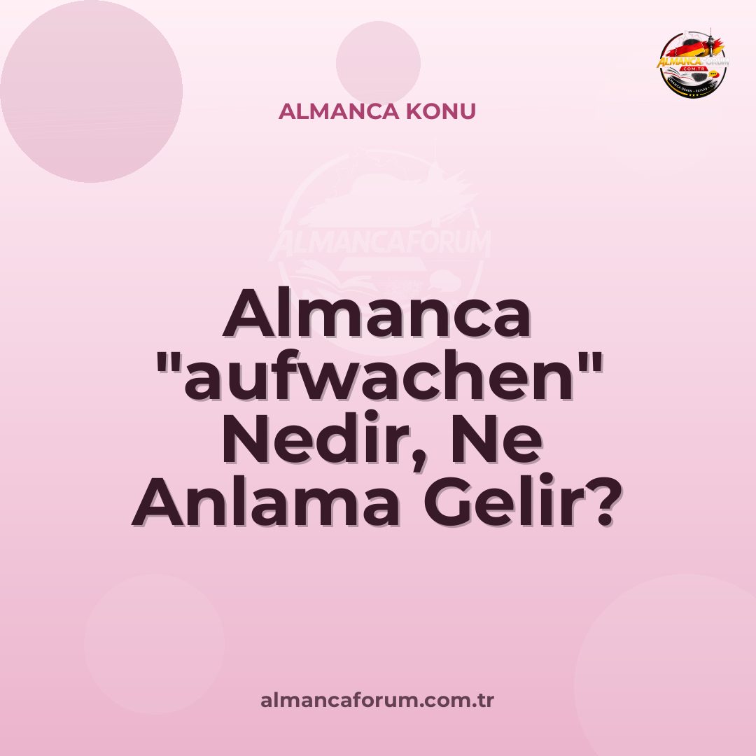 almanca-aufwachen-nedir-ne-anlama-gelir-nasil-kullanilir.jpg