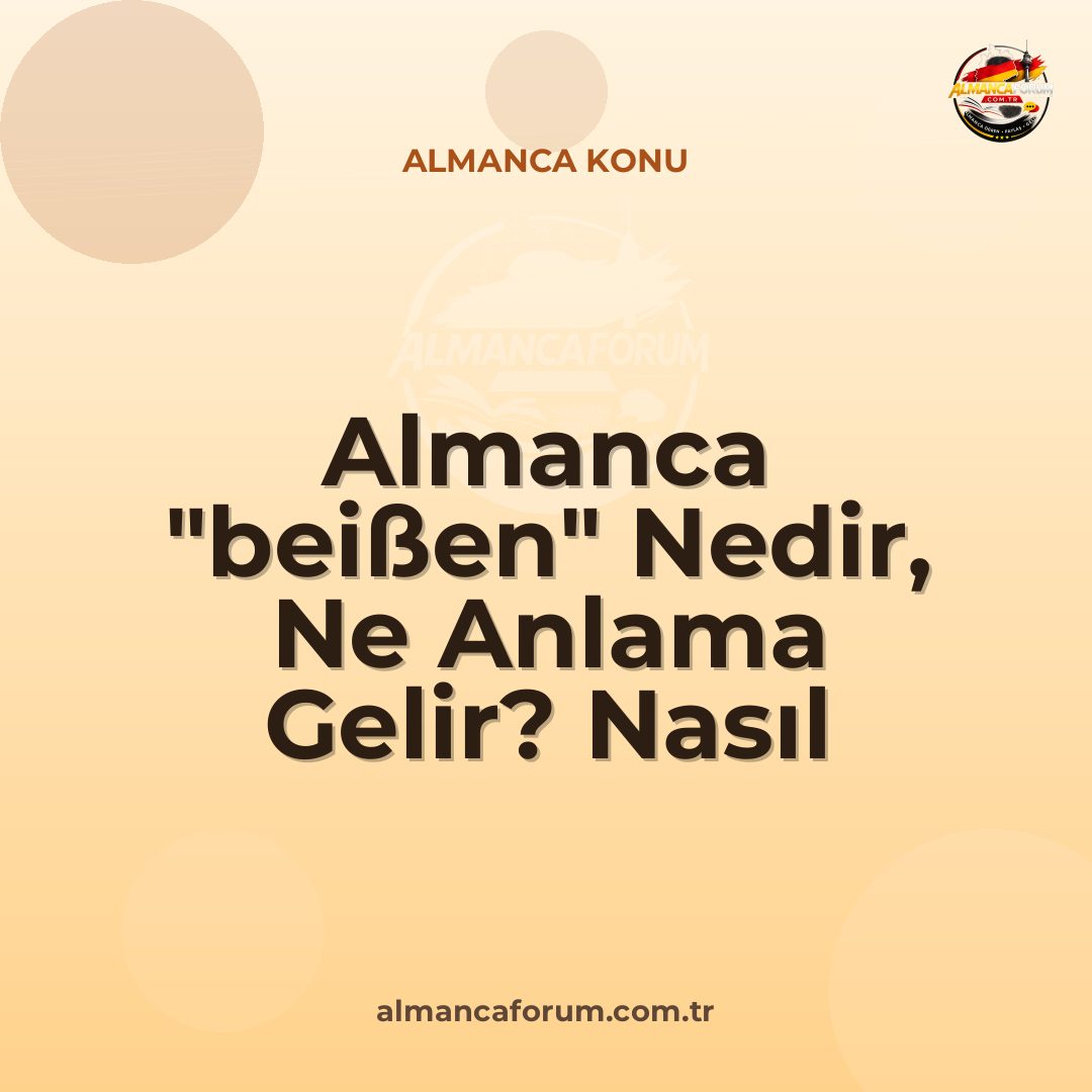 almanca-beissen-nedir-ne-anlama-gelir-nasil-kullanilir.jpg