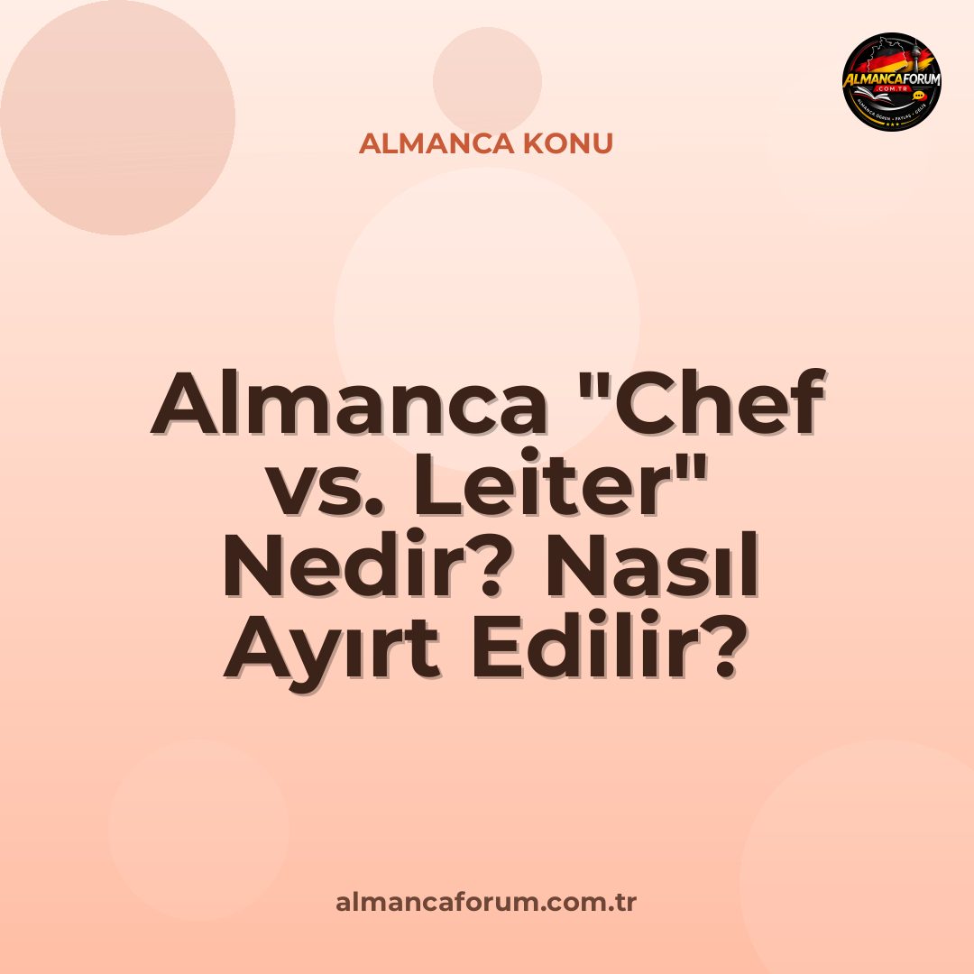 almanca-chef-vs-leiter-nedir-nasil-ayirt-edilir.jpg