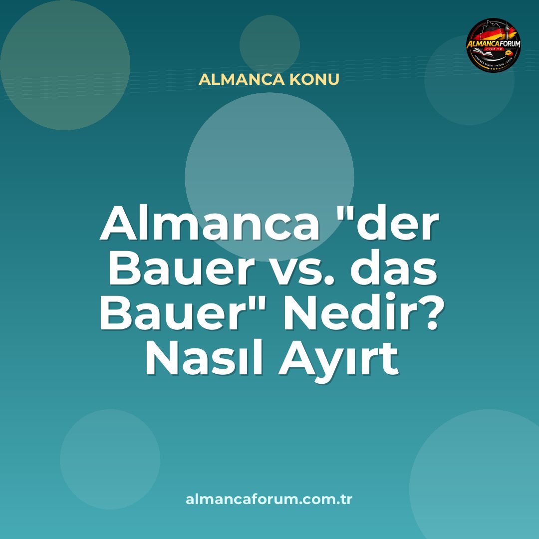 almanca-der-bauer-vs-das-bauer-nedir-nasil-ayirt-edilir.jpg