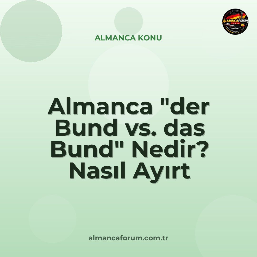 almanca-der-bund-vs-das-bund-nedir-nasil-ayirt-edilir.jpg