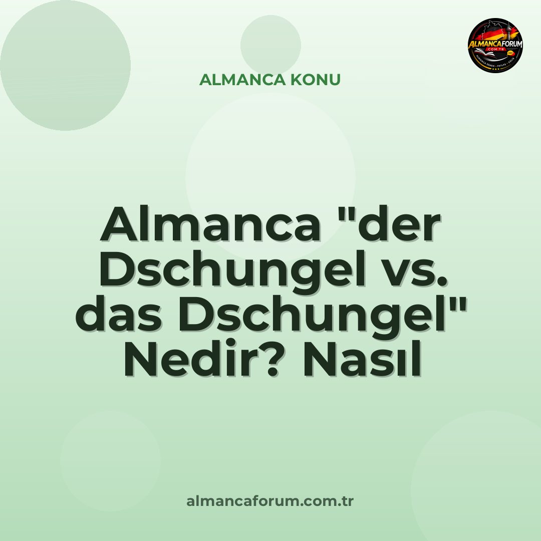 almanca-der-dschungel-vs-das-dschungel-nedir-nasil-ayirt-edilir-4.jpg