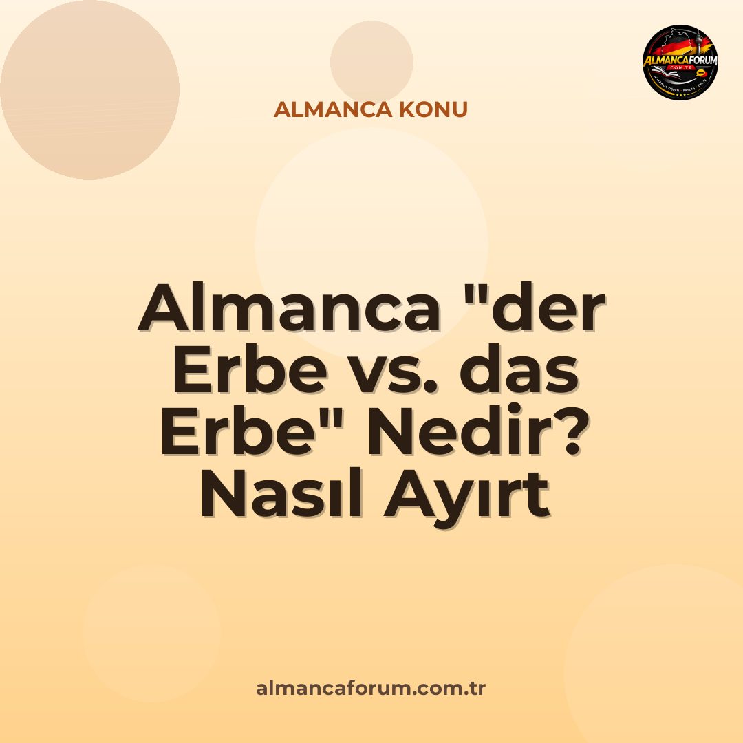 almanca-der-erbe-vs-das-erbe-nedir-nasil-ayirt-edilir.jpg