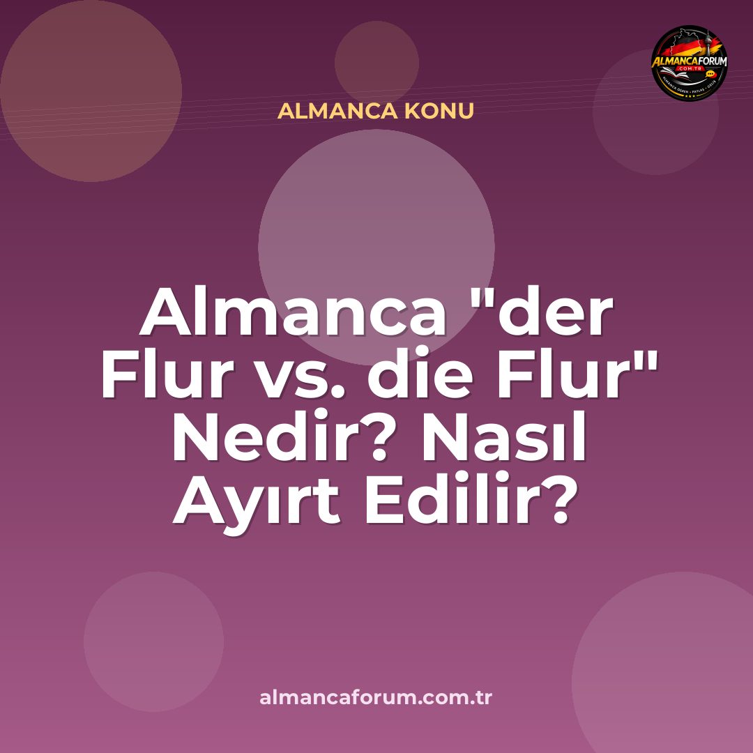 almanca-der-flur-vs-die-flur-nedir-nasil-ayirt-edilir.jpg
