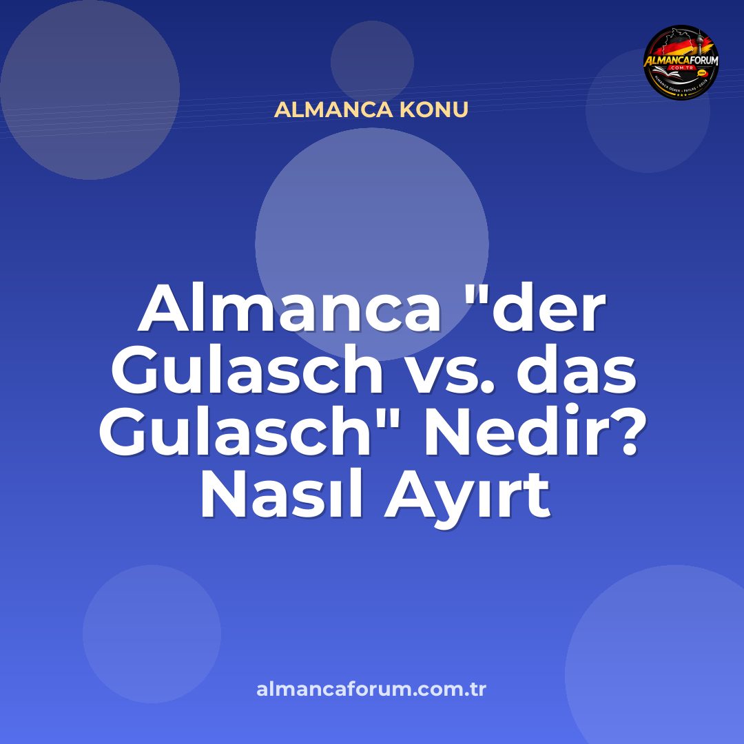 almanca-der-gulasch-vs-das-gulasch-nedir-nasil-ayirt-edilir.jpg