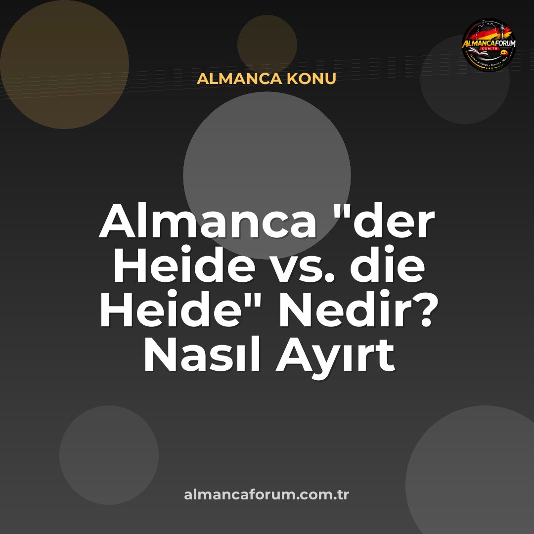 almanca-der-heide-vs-die-heide-nedir-nasil-ayirt-edilir.jpg
