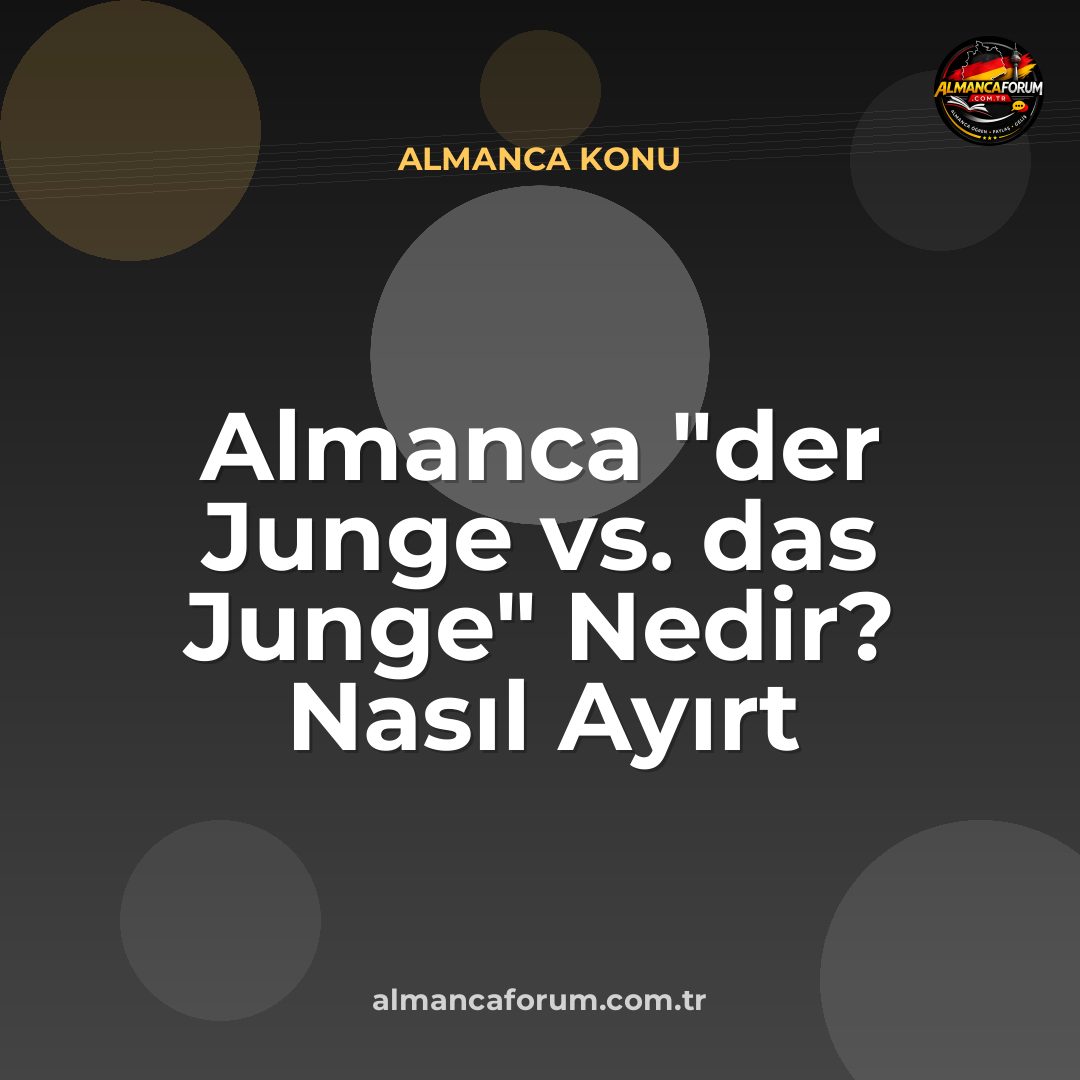 almanca-der-junge-vs-das-junge-nedir-nasil-ayirt-edilir.jpg