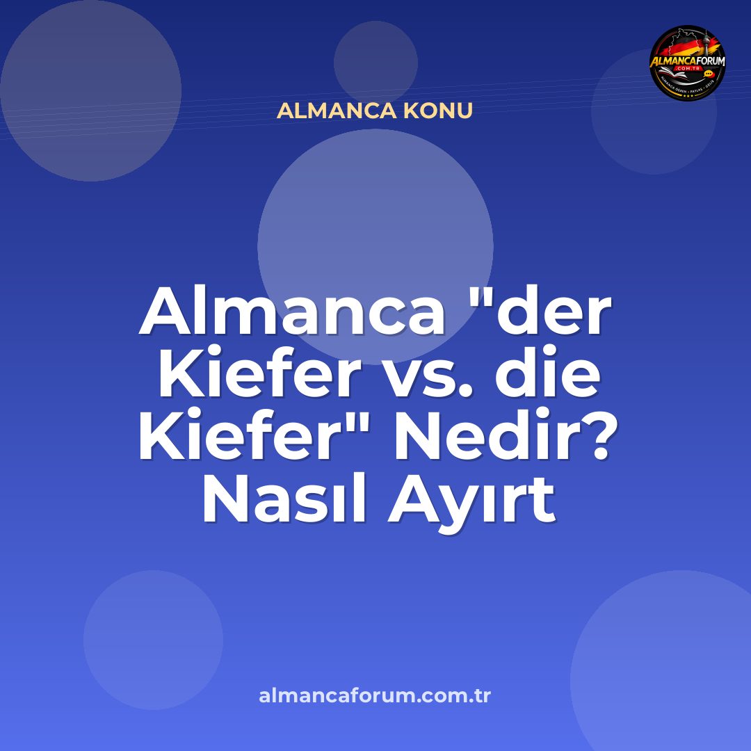 almanca-der-kiefer-vs-die-kiefer-nedir-nasil-ayirt-edilir.jpg