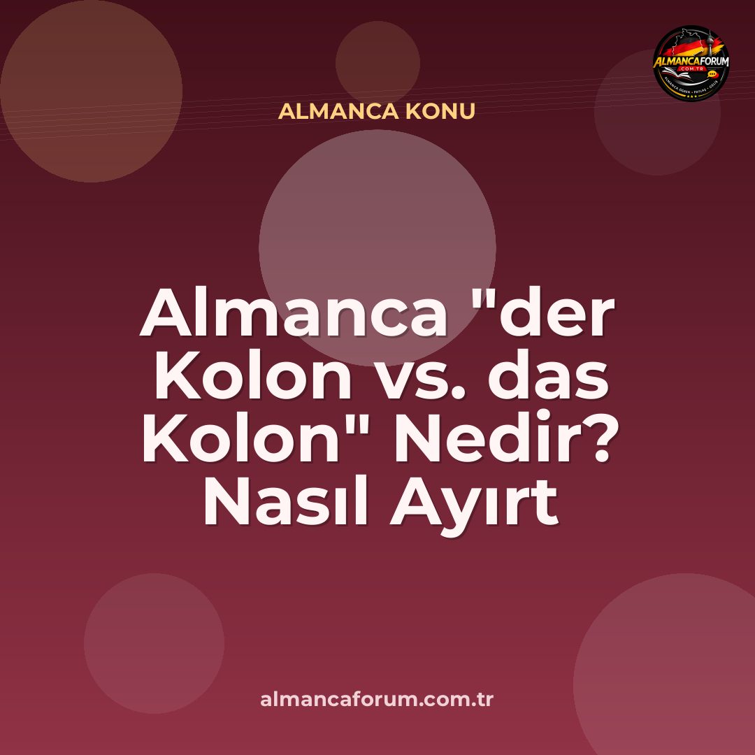 almanca-der-kolon-vs-das-kolon-nedir-nasil-ayirt-edilir.jpg