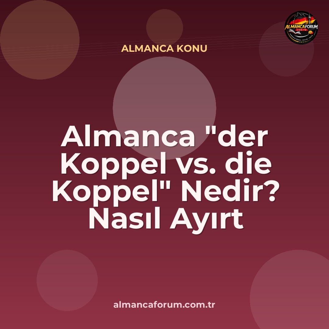 almanca-der-koppel-vs-die-koppel-nedir-nasil-ayirt-edilir.jpg