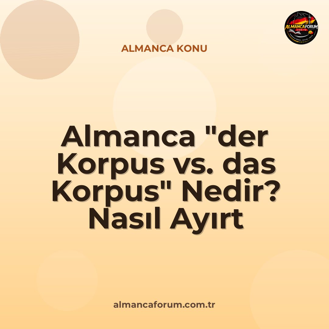 almanca-der-korpus-vs-das-korpus-nedir-nasil-ayirt-edilir.jpg