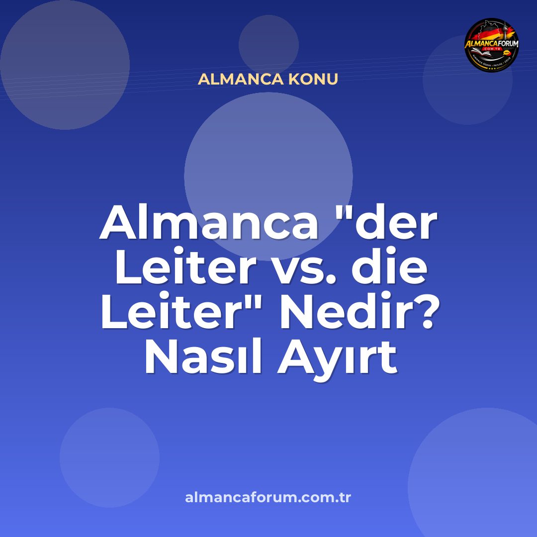 almanca-der-leiter-vs-die-leiter-nedir-nasil-ayirt-edilir.jpg
