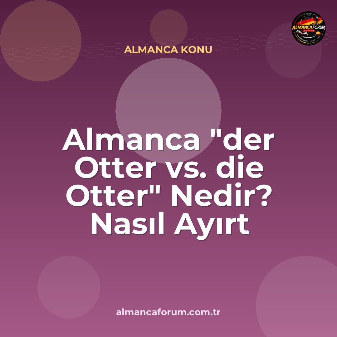 almanca-der-otter-vs-die-otter-nedir-nasil-ayirt-edilir.jpg