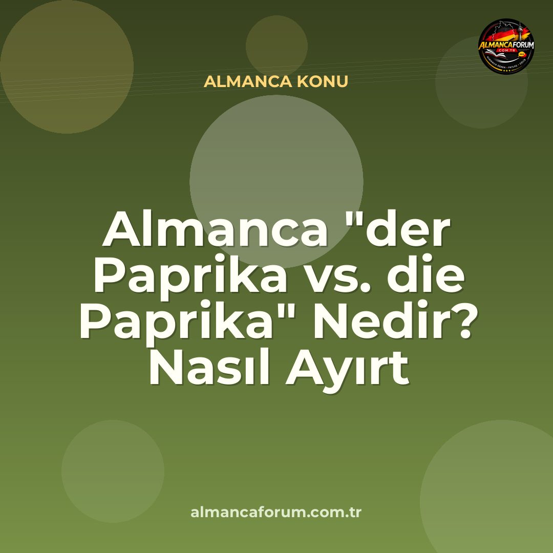 almanca-der-paprika-vs-die-paprika-nedir-nasil-ayirt-edilir.jpg