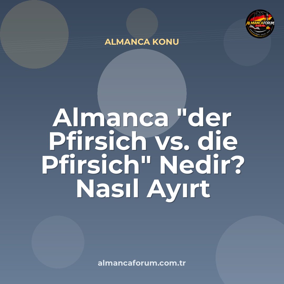 almanca-der-pfirsich-vs-die-pfirsich-nedir-nasil-ayirt-edilir-5.jpg