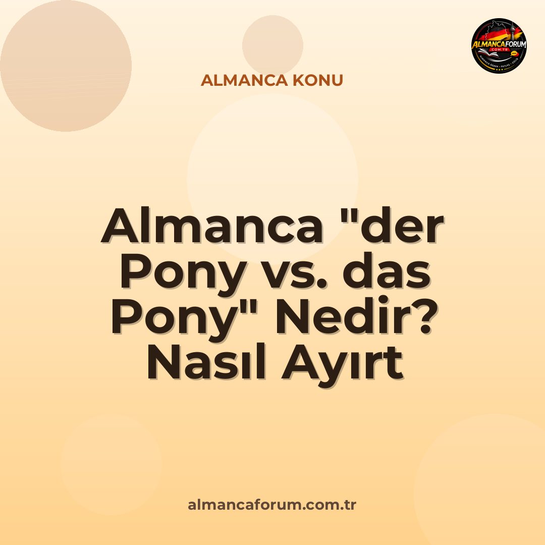 almanca-der-pony-vs-das-pony-nedir-nasil-ayirt-edilir.jpg