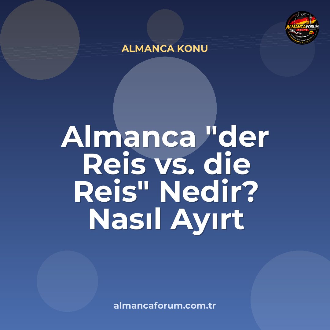 almanca-der-reis-vs-die-reis-nedir-nasil-ayirt-edilir.jpg
