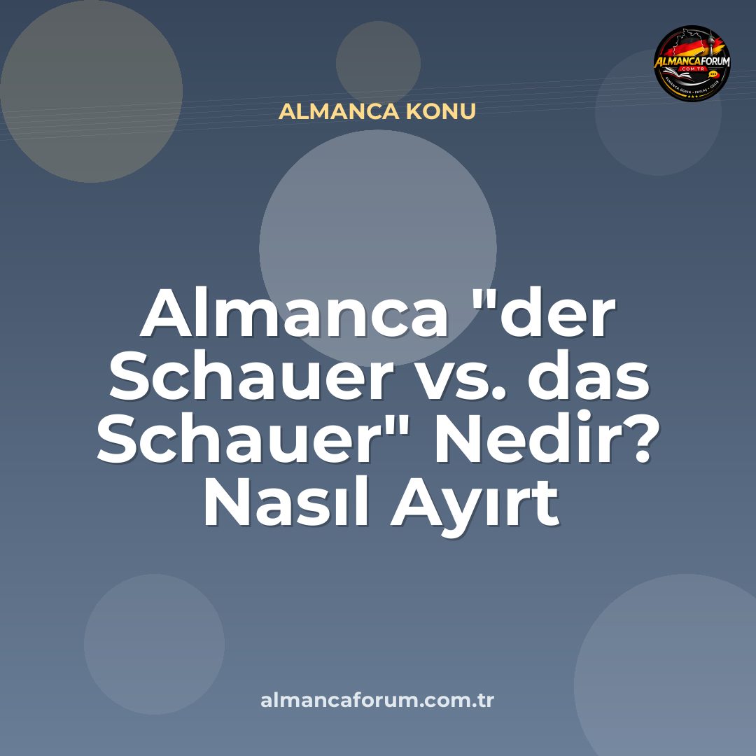almanca-der-schauer-vs-das-schauer-nedir-nasil-ayirt-edilir.jpg