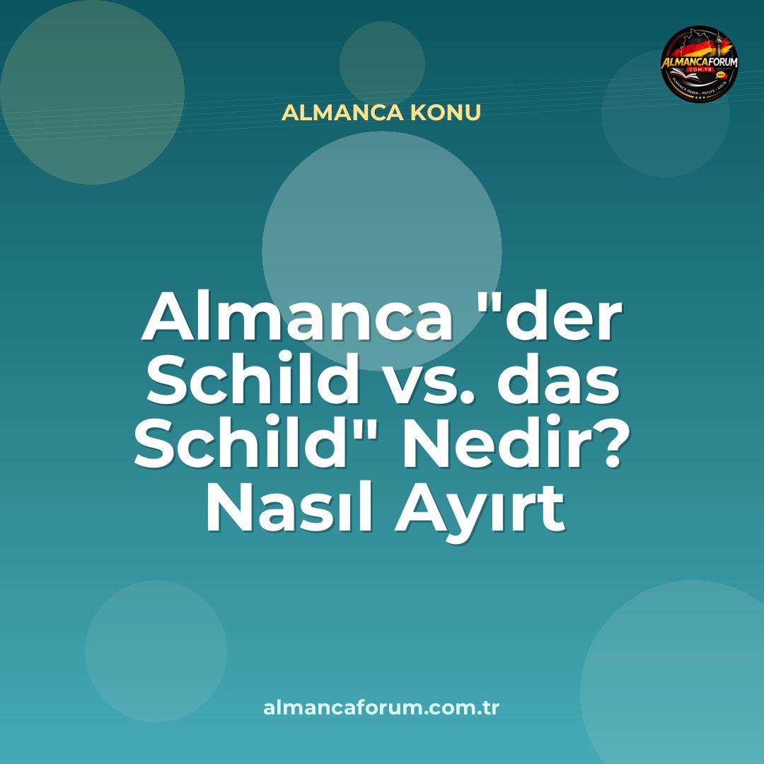 almanca-der-schild-vs-das-schild-nedir-nasil-ayirt-edilir.jpg