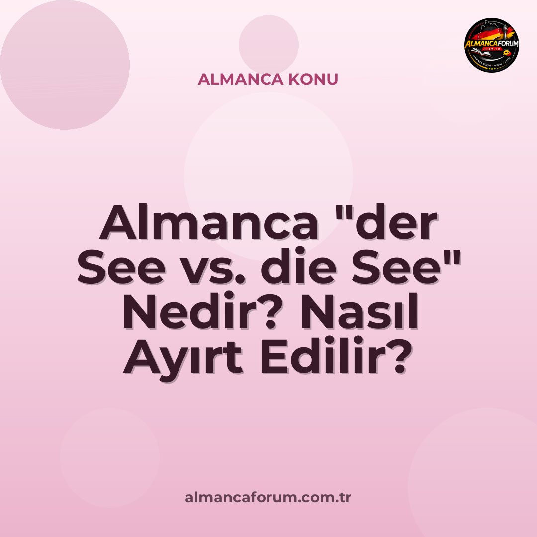 almanca-der-see-vs-die-see-nedir-nasil-ayirt-edilir.jpg