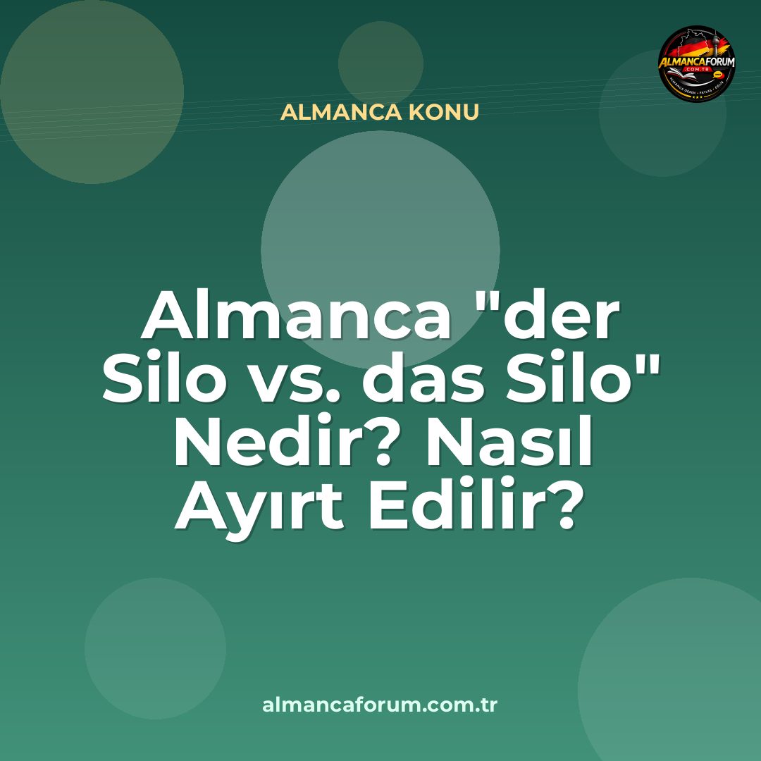 almanca-der-silo-vs-das-silo-nedir-nasil-ayirt-edilir.jpg