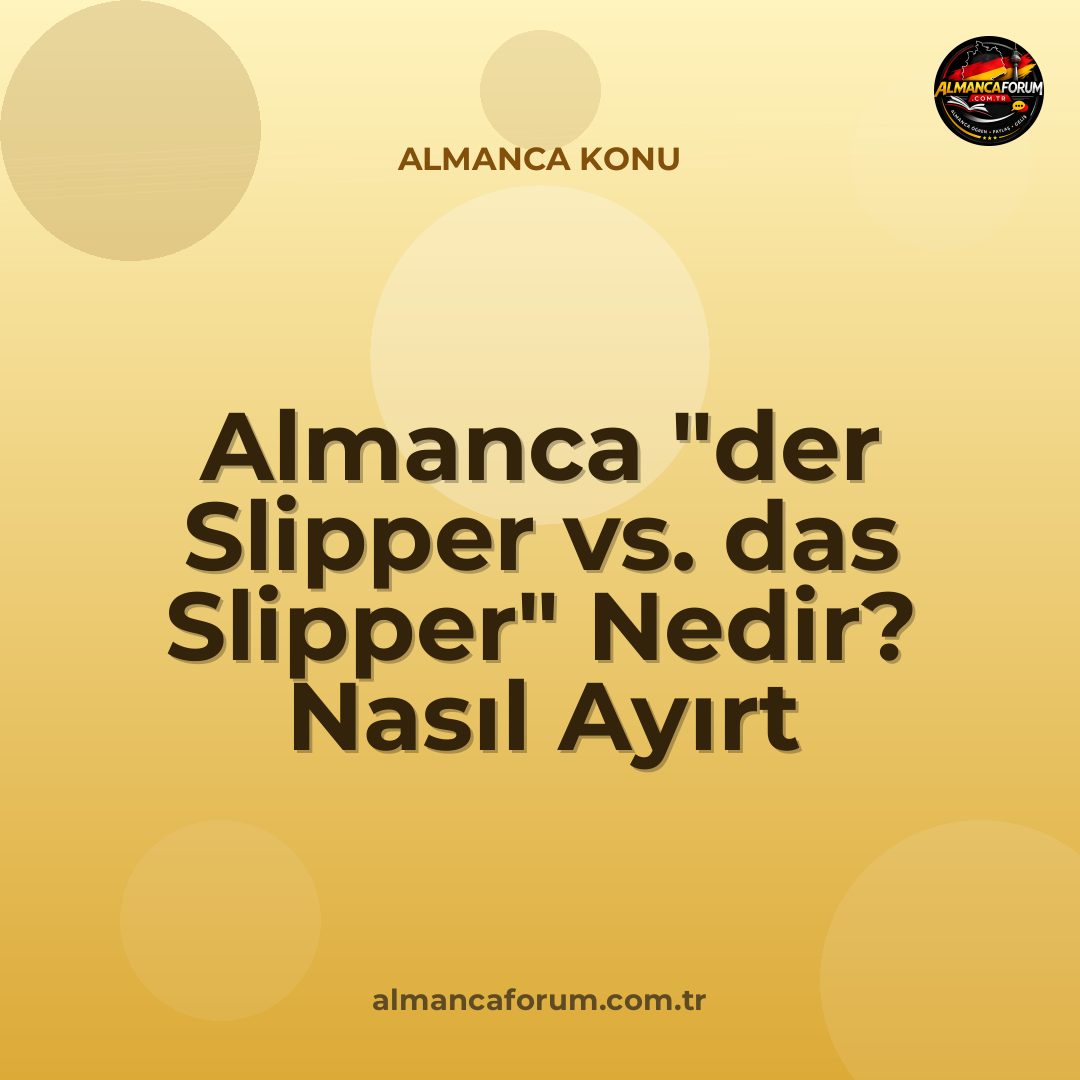 almanca-der-slipper-vs-das-slipper-nedir-nasil-ayirt-edilir.jpg