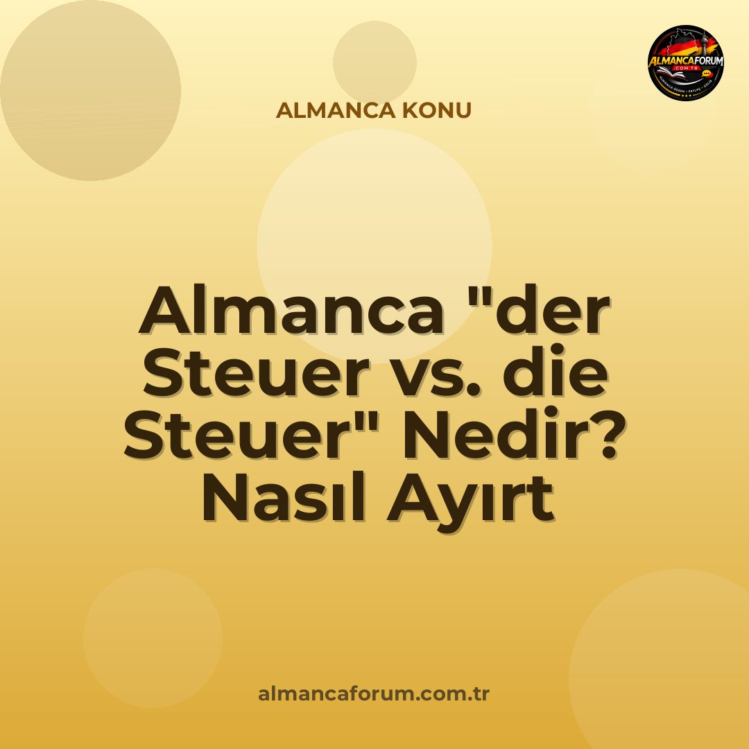 almanca-der-steuer-vs-die-steuer-nedir-nasil-ayirt-edilir.jpg