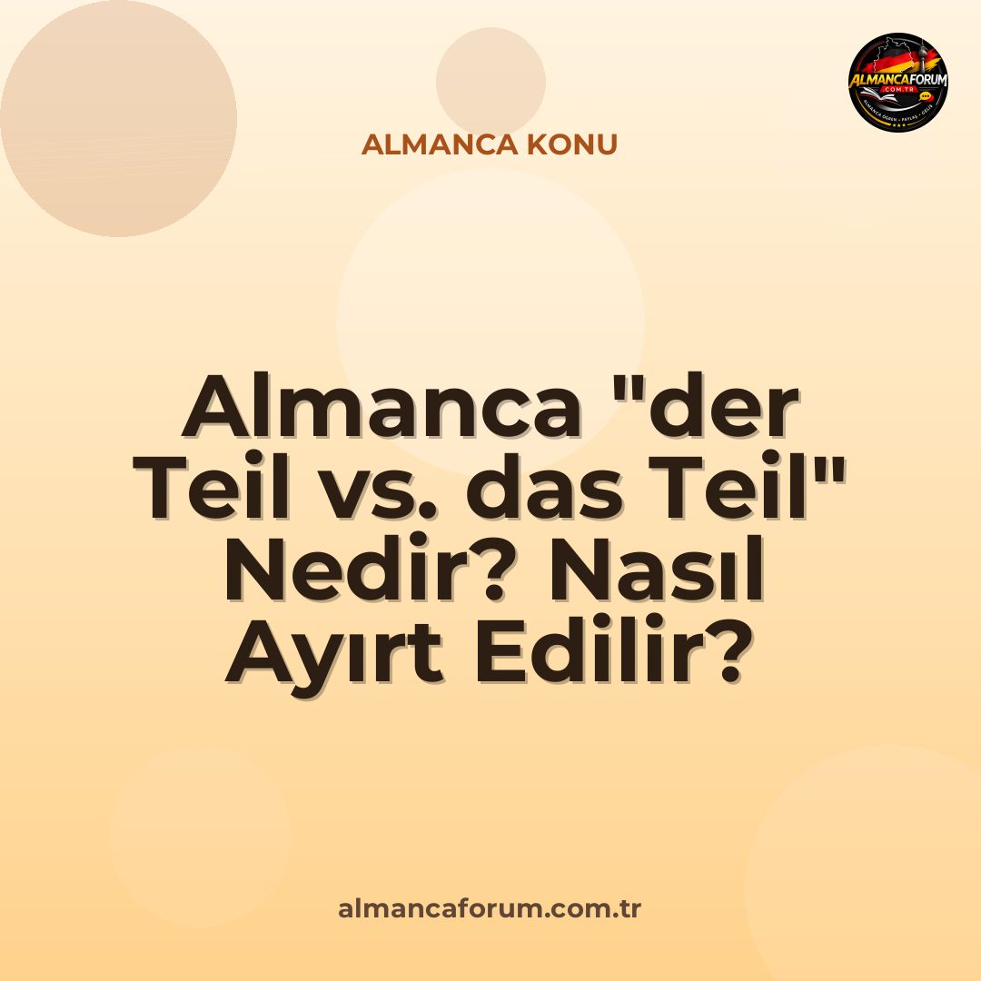 almanca-der-teil-vs-das-teil-nedir-nasil-ayirt-edilir.jpg