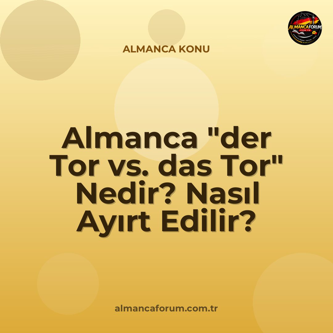 almanca-der-tor-vs-das-tor-nedir-nasil-ayirt-edilir.jpg