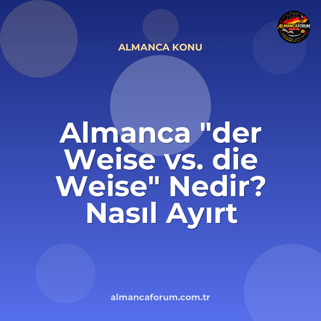 almanca-der-weise-vs-die-weise-nedir-nasil-ayirt-edilir.jpg