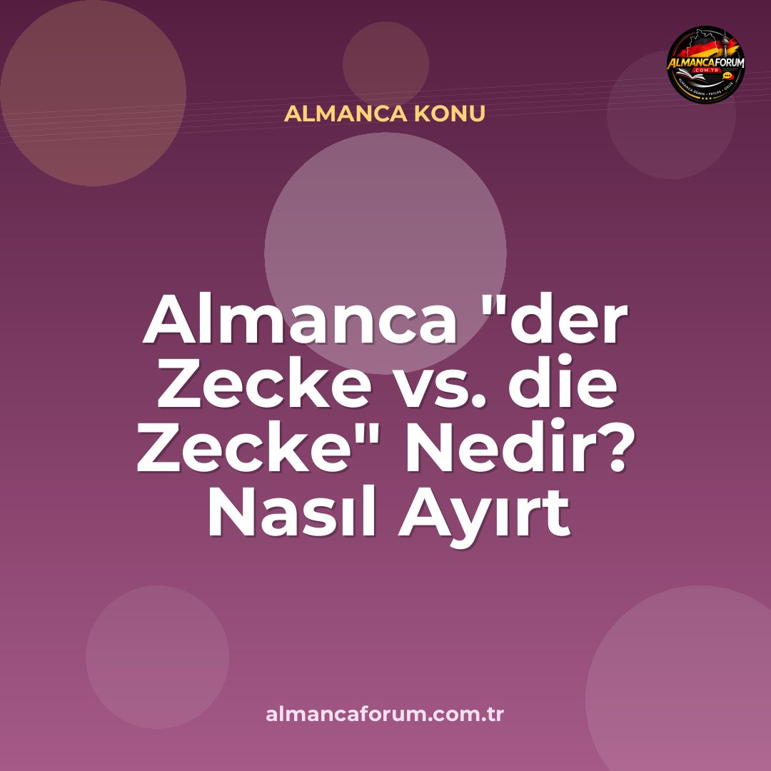 almanca-der-zecke-vs-die-zecke-nedir-nasil-ayirt-edilir.jpg