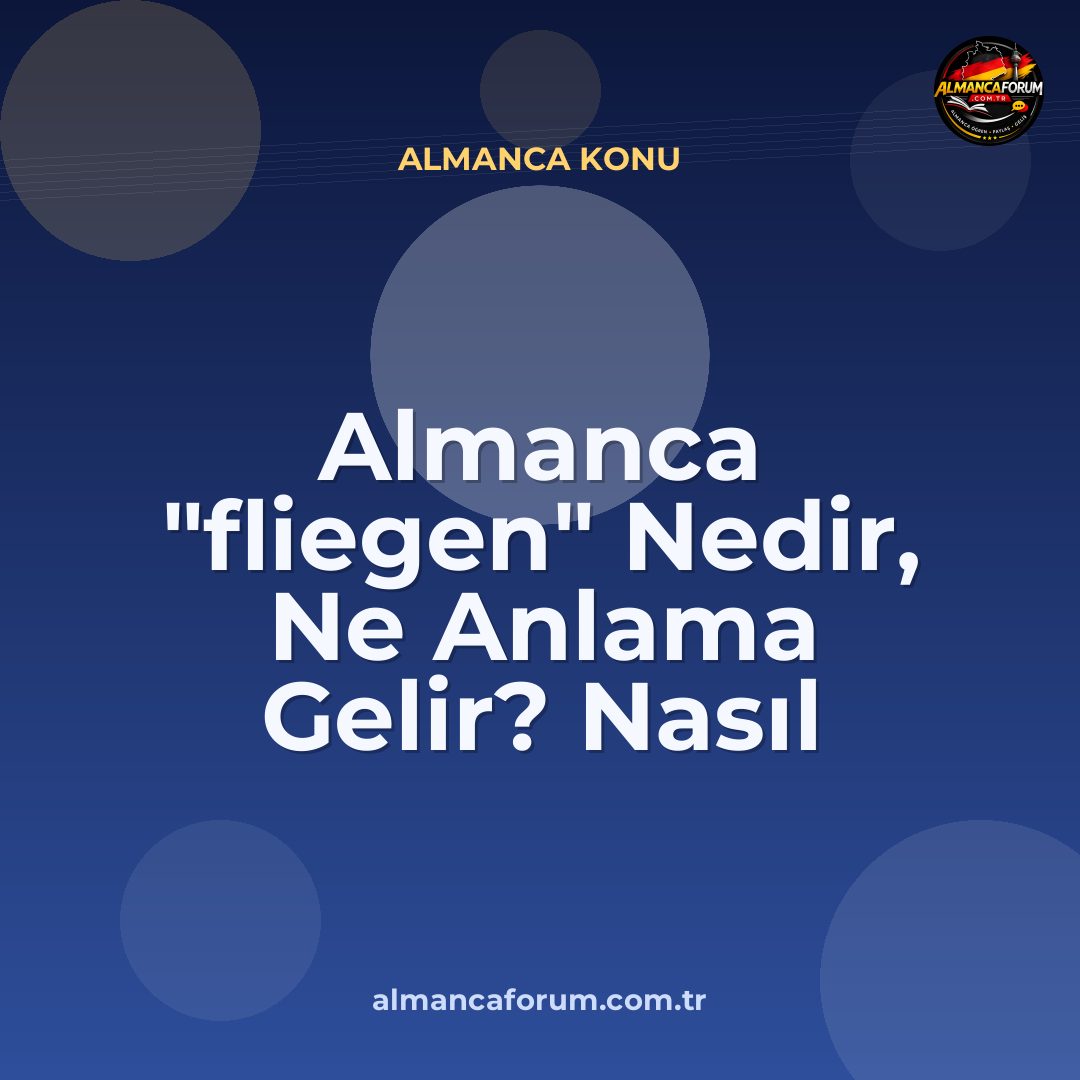 almanca-fliegen-nedir-ne-anlama-gelir-nasil-kullanilir.jpg