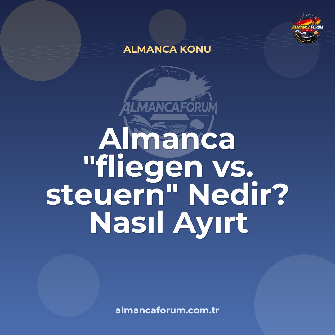 almanca-fliegen-vs-steuern-nedir-nasil-ayirt-edilir.jpg