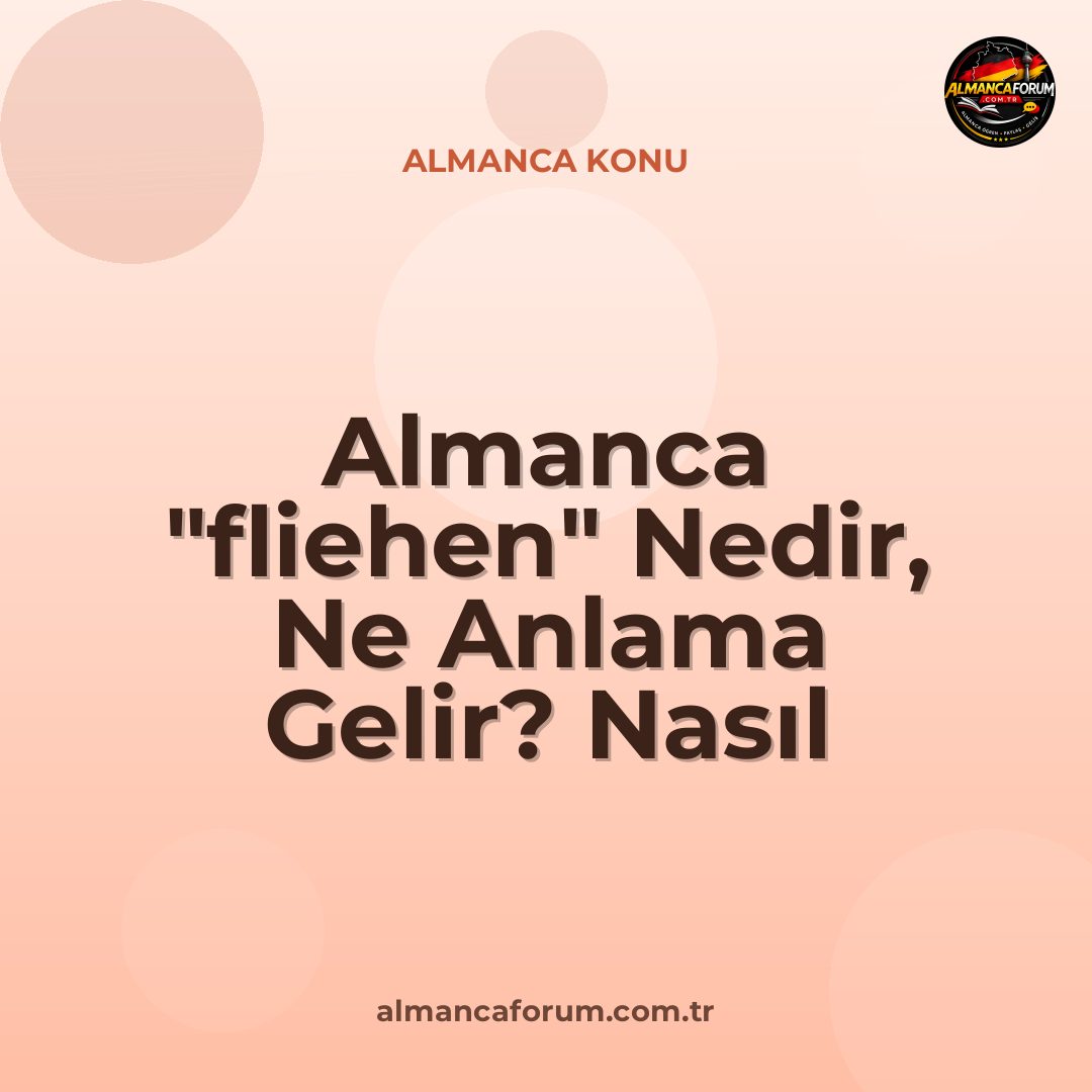 almanca-fliehen-nedir-ne-anlama-gelir-nasil-kullanilir.jpg