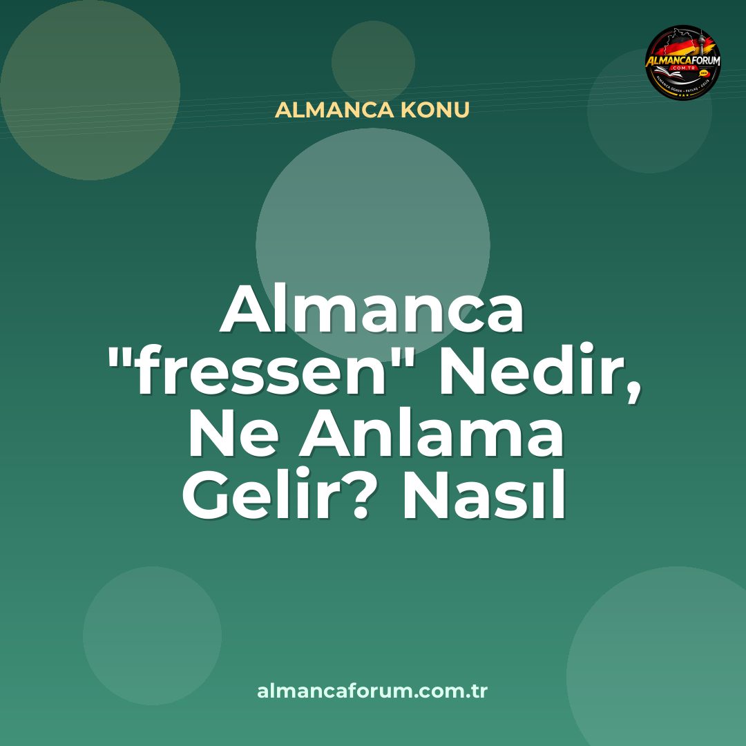 almanca-fressen-nedir-ne-anlama-gelir-nasil-kullanilir.jpg