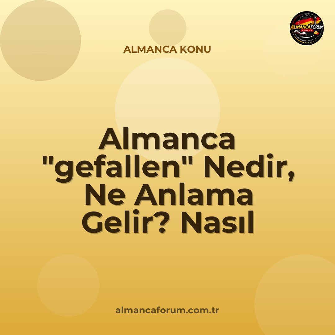 almanca-gefallen-nedir-ne-anlama-gelir-nasil-kullanilir.jpg
