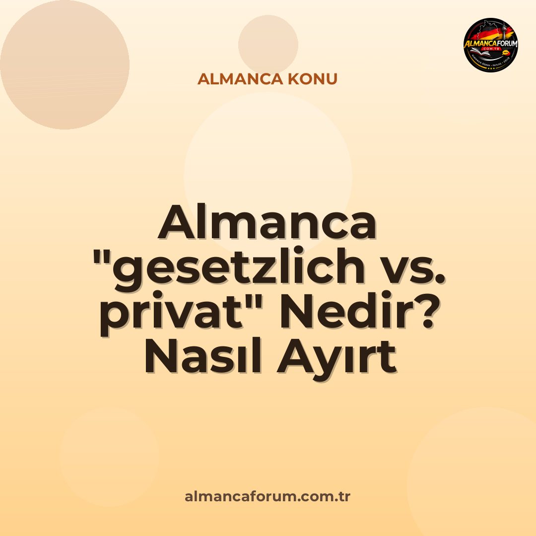 almanca-gesetzlich-vs-privat-nedir-nasil-ayirt-edilir-sigorta-turleri-13.jpg