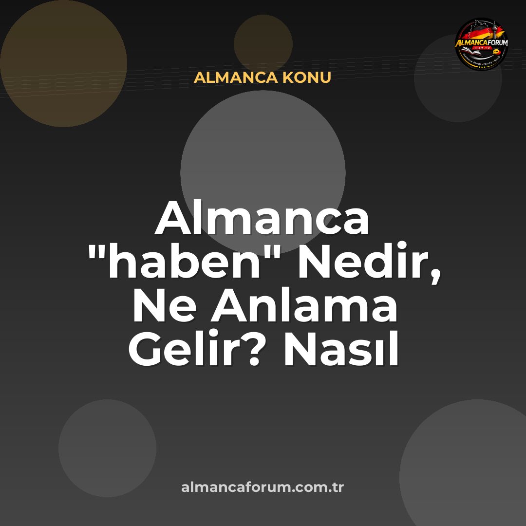 almanca-haben-nedir-ne-anlama-gelir-nasil-kullanilir.jpg