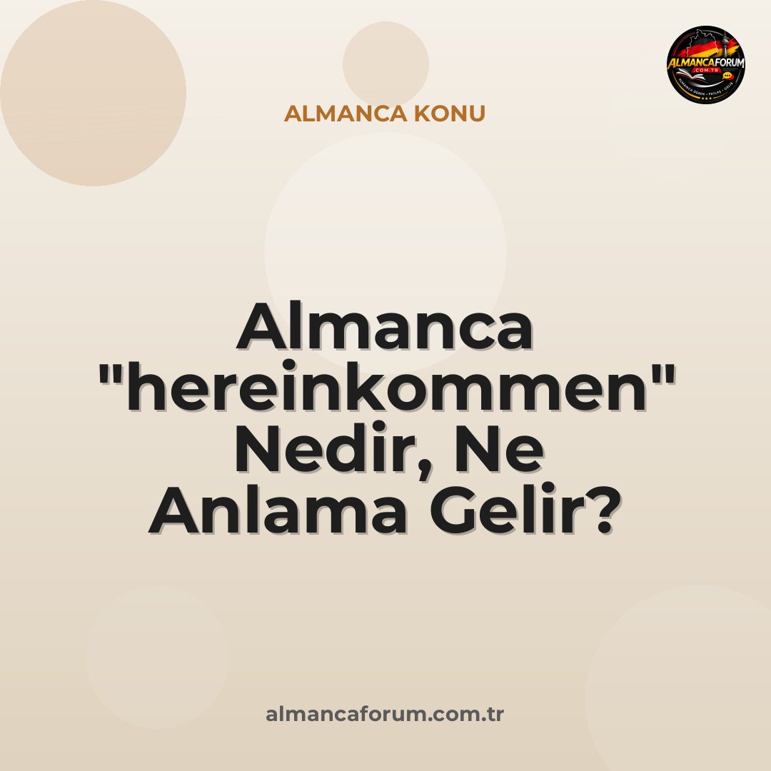 almanca-hereinkommen-nedir-ne-anlama-gelir-nasil-kullanilir.jpg