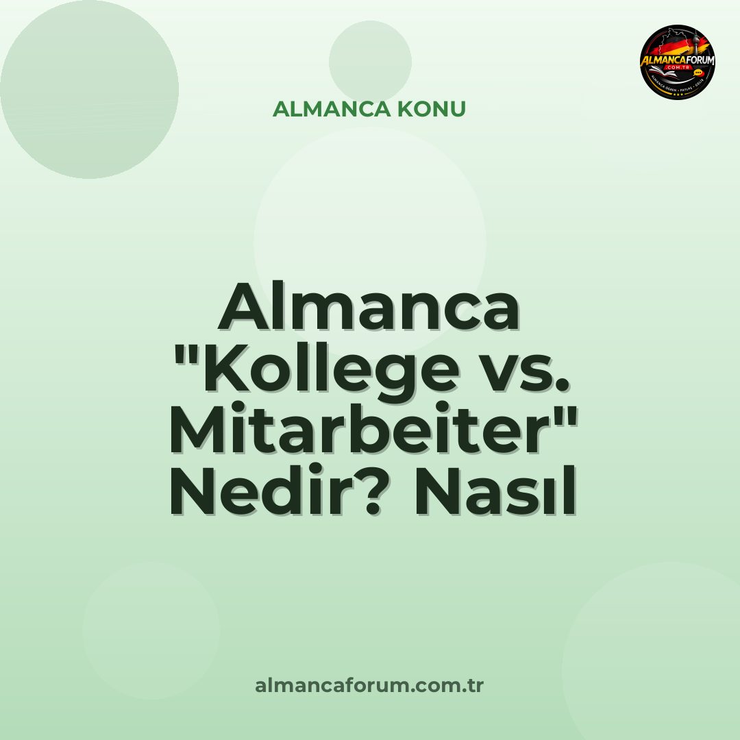 almanca-kollege-vs-mitarbeiter-nedir-nasil-ayirt-edilir.jpg