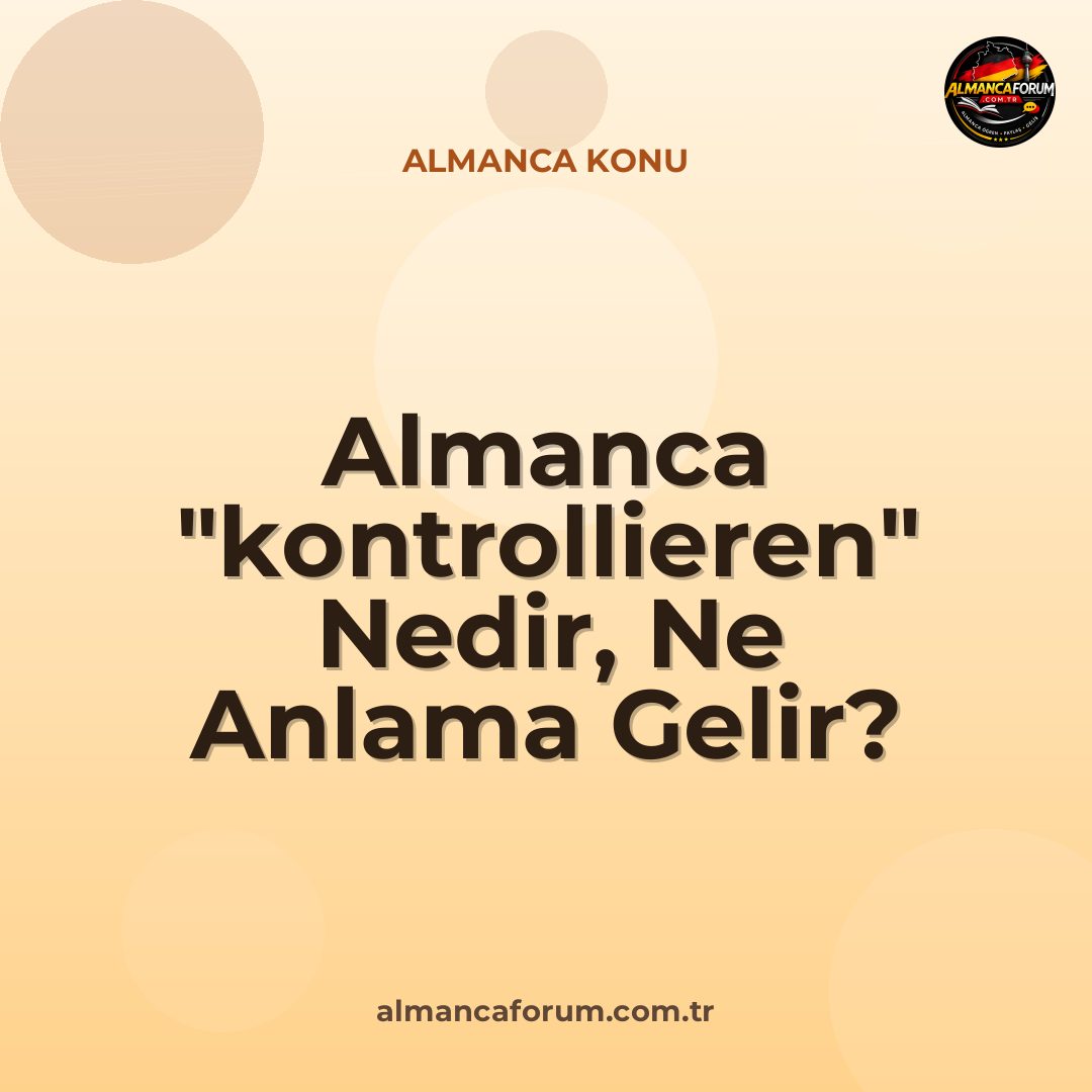 almanca-kontrollieren-nedir-ne-anlama-gelir-nasil-kullanilir.jpg