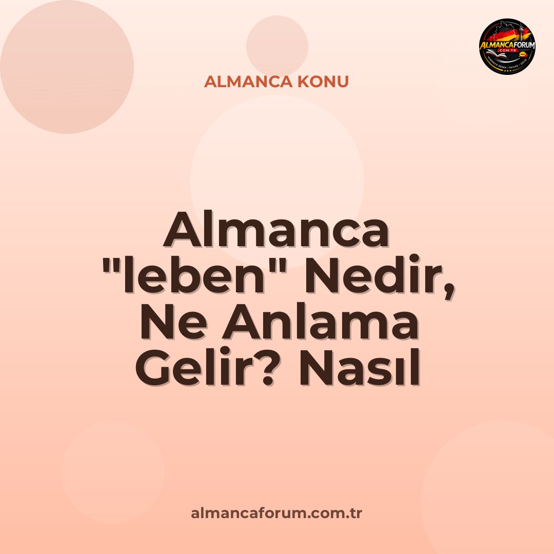 almanca-leben-nedir-ne-anlama-gelir-nasil-kullanilir.jpg