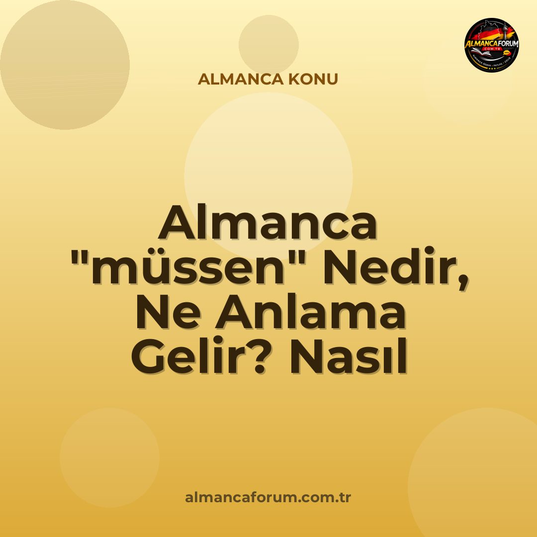 almanca-mussen-nedir-ne-anlama-gelir-nasil-kullanilir.jpg