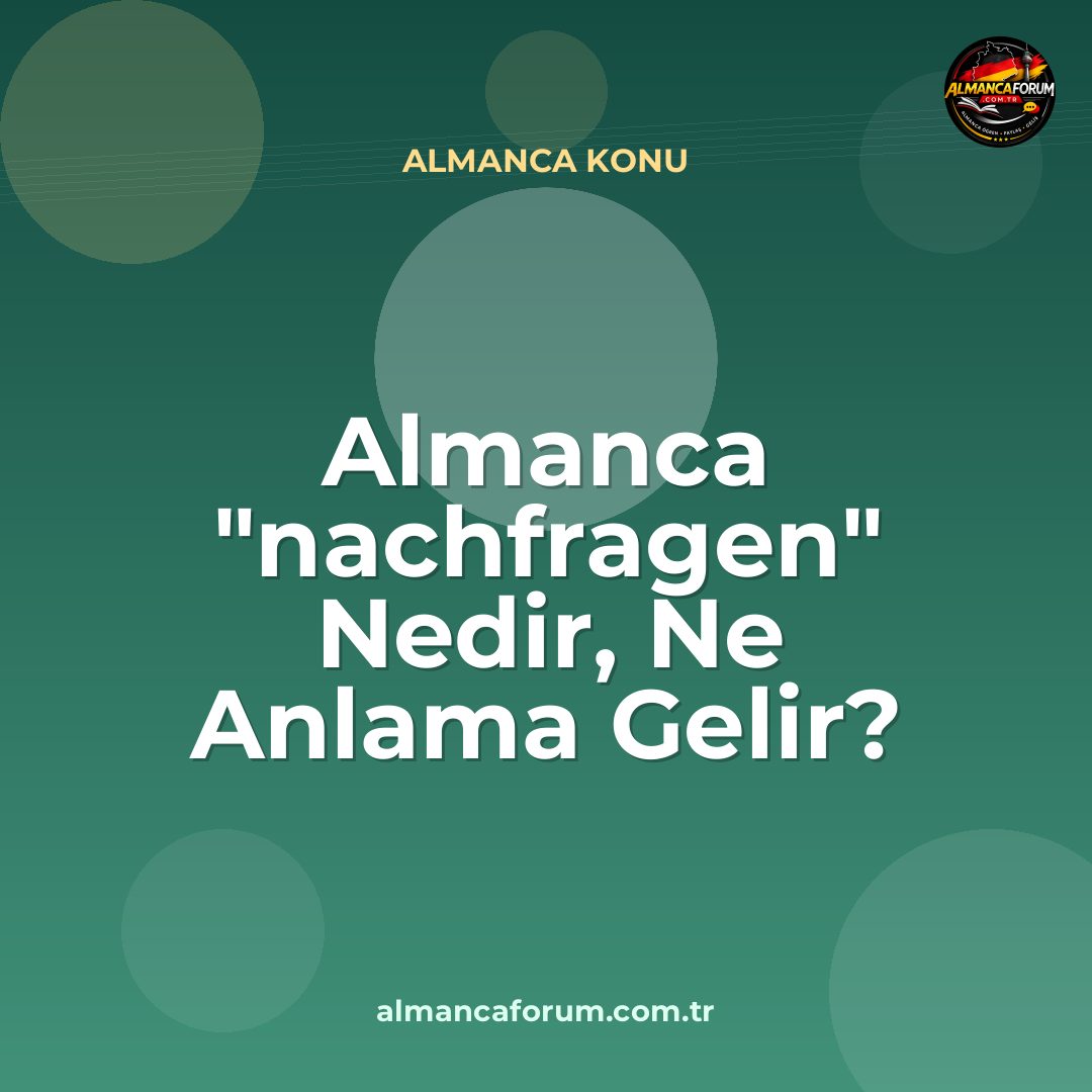 almanca-nachfragen-nedir-ne-anlama-gelir-nasil-kullanilir.jpg