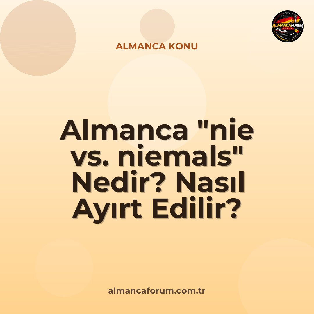almanca-nie-vs-niemals-nedir-nasil-ayirt-edilir.jpg