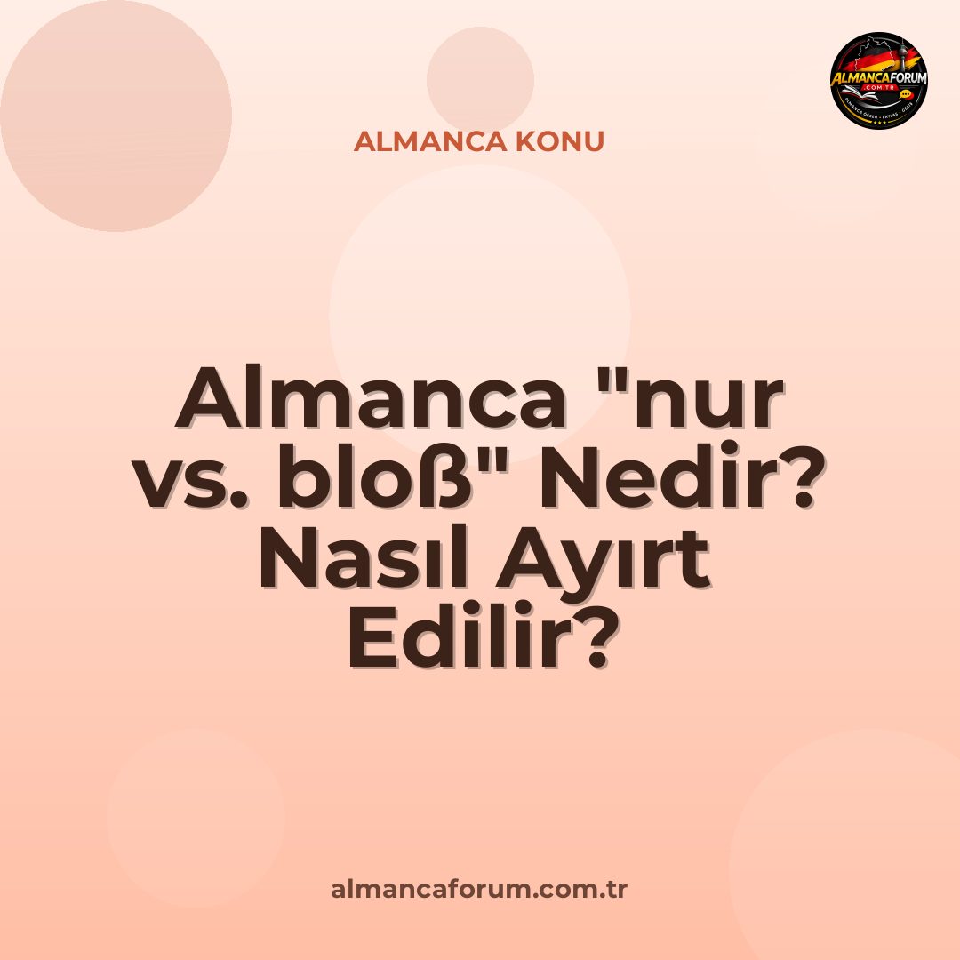 almanca-nur-vs-bloss-nedir-nasil-ayirt-edilir.jpg