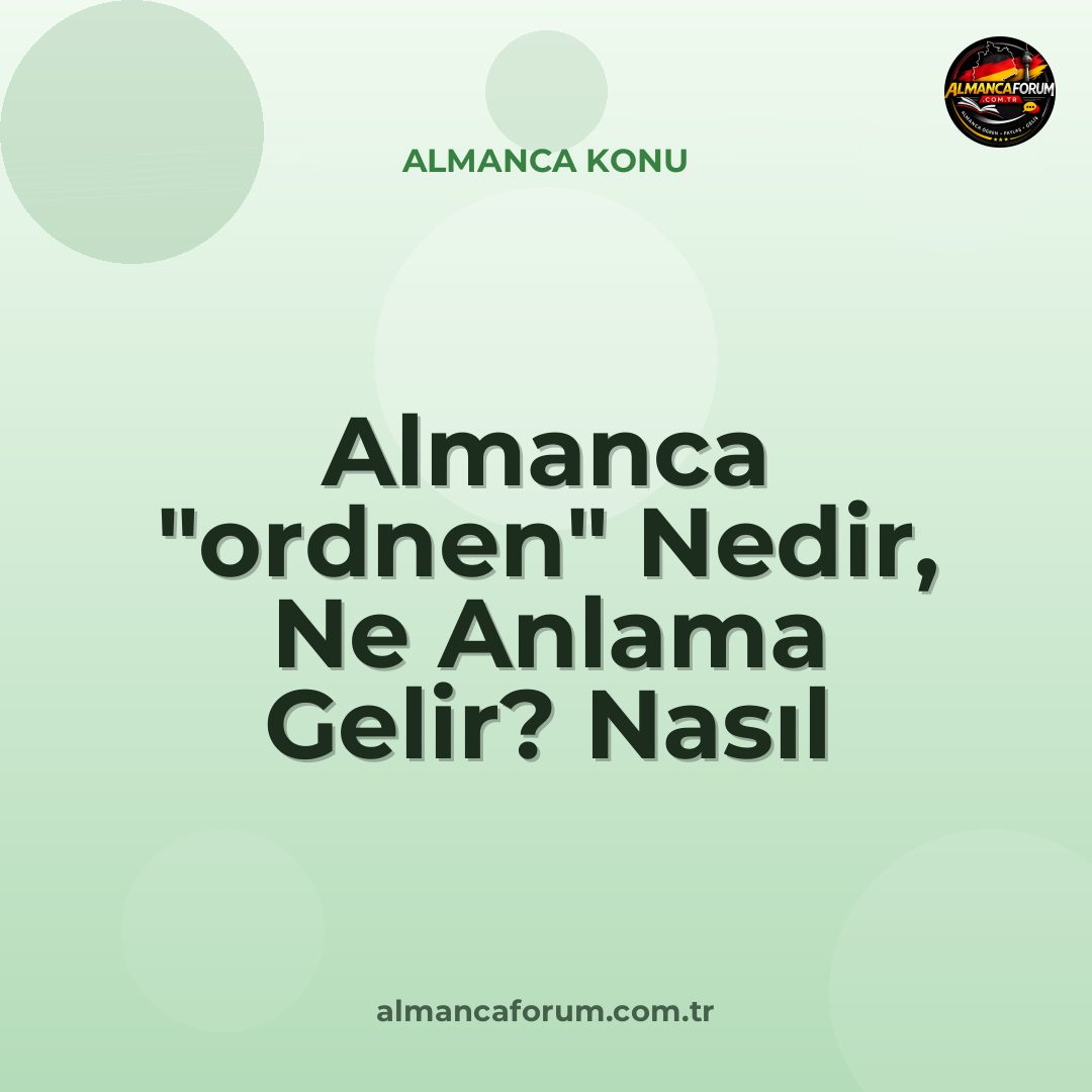 almanca-ordnen-nedir-ne-anlama-gelir-nasil-kullanilir.jpg