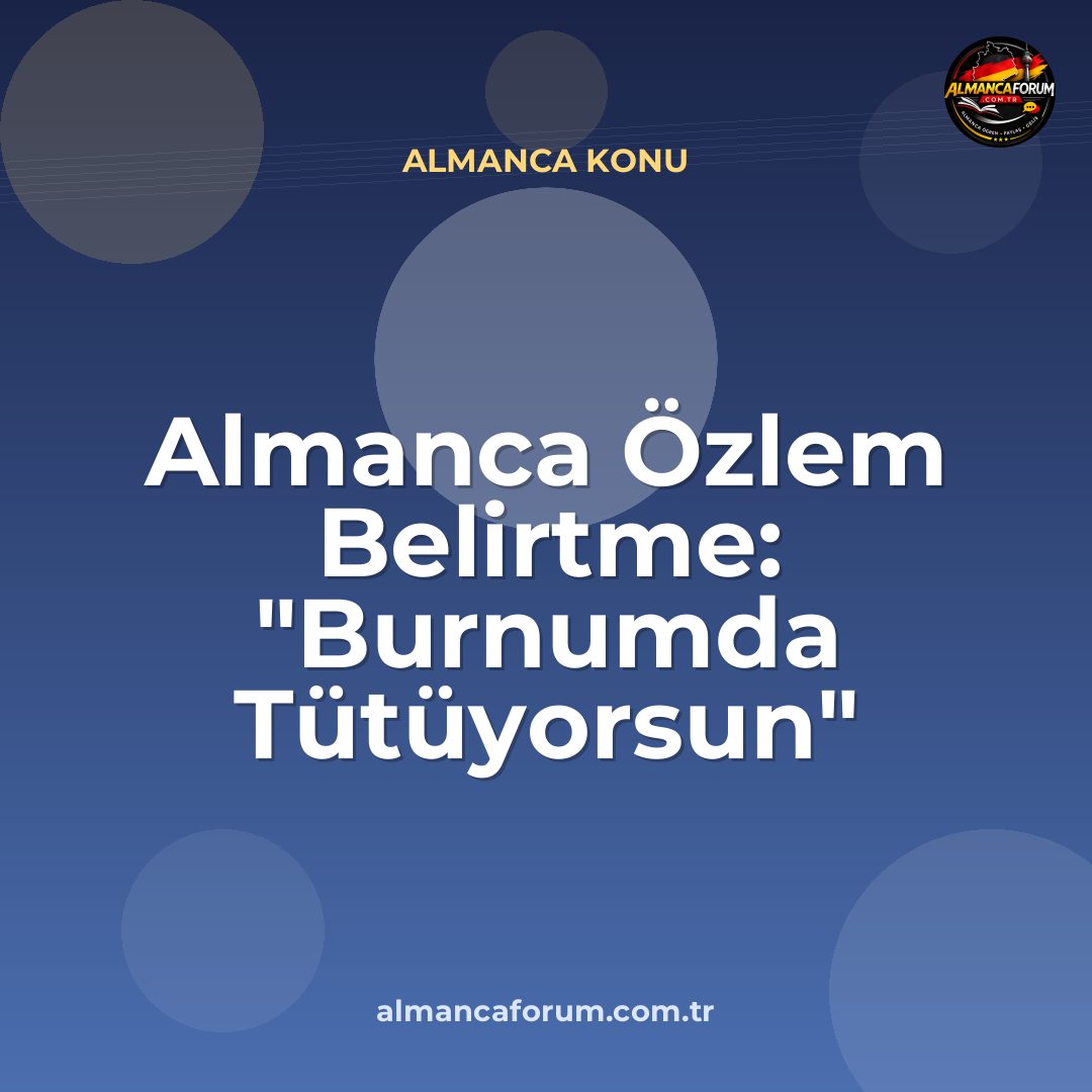 almanca-ozlem-belirtme-burnumda-tutuyorsun-nasil-denir.jpg